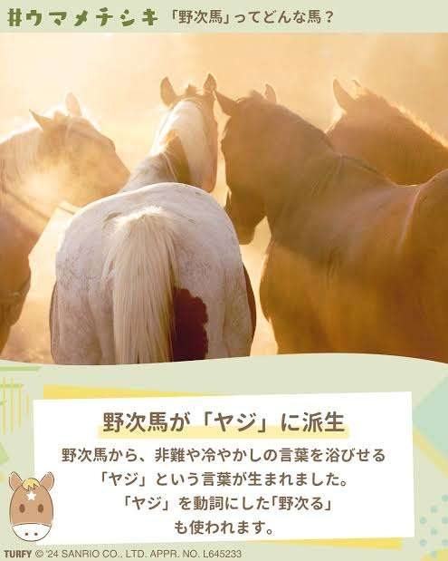 野次馬
