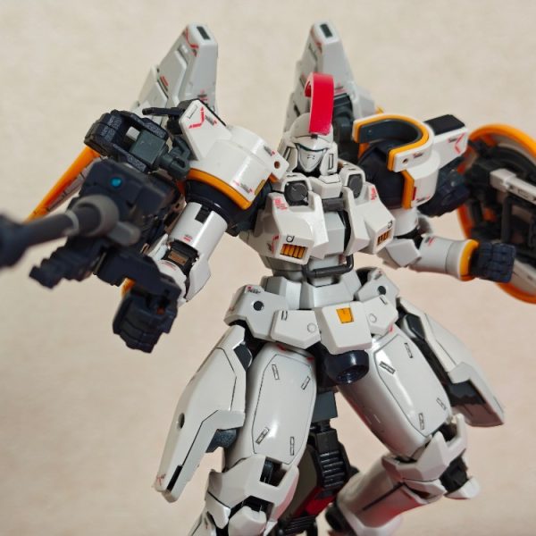 RG トールギス EW