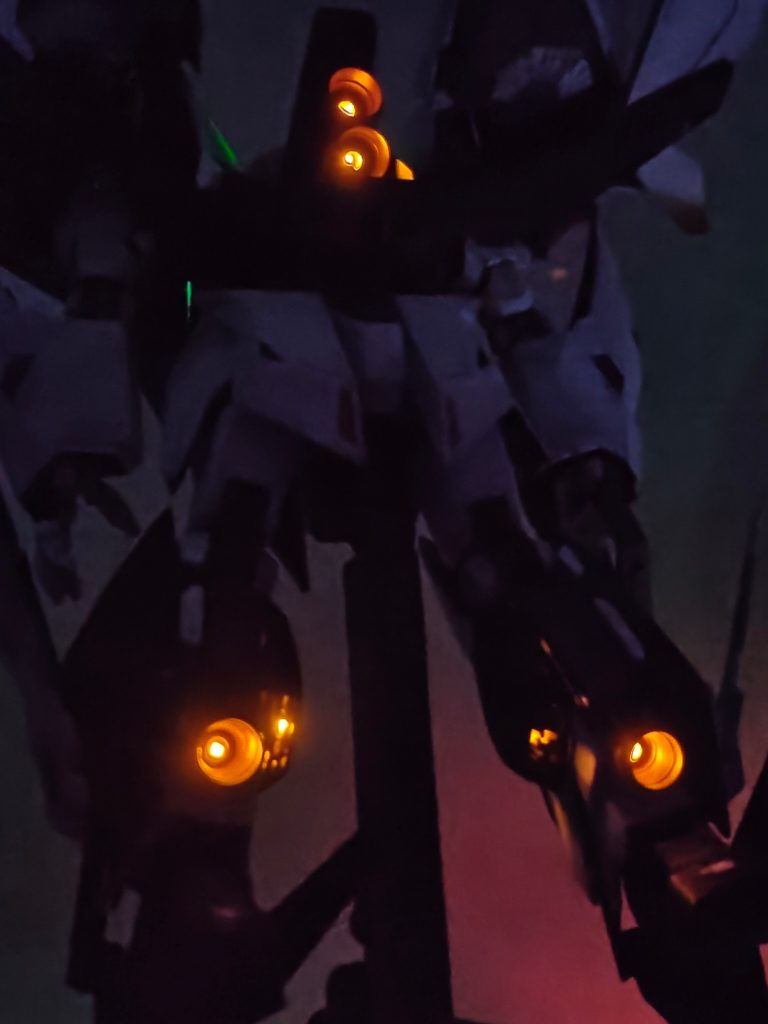 暗かったらフィンもめちゃくちゃ目立つ