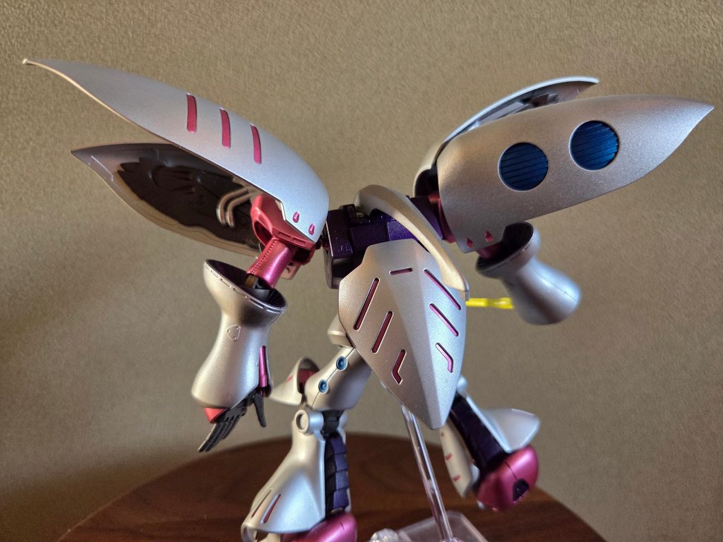 背面写真