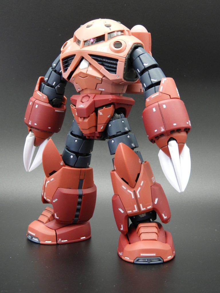 RG シャア専用ズゴック–2枚目/制作者：六剣狼