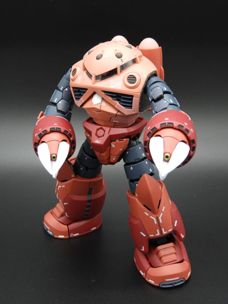 RG シャア専用ズゴック–3枚目/制作者：六剣狼