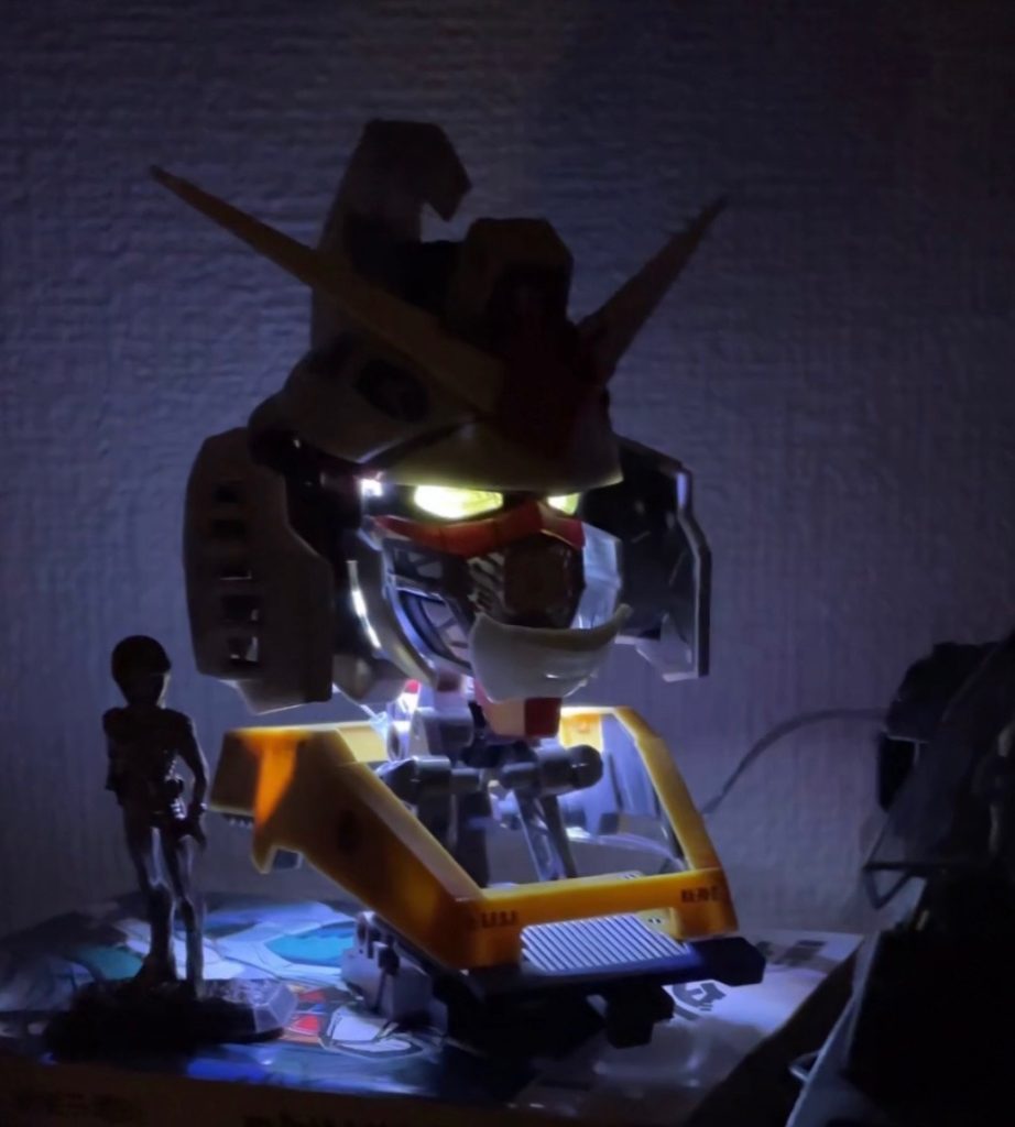 ワイヤーライト購入して次に頭にとりあえず突っ込んでみました