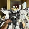 タカアシガニ