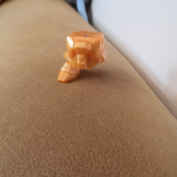 （5枚目）