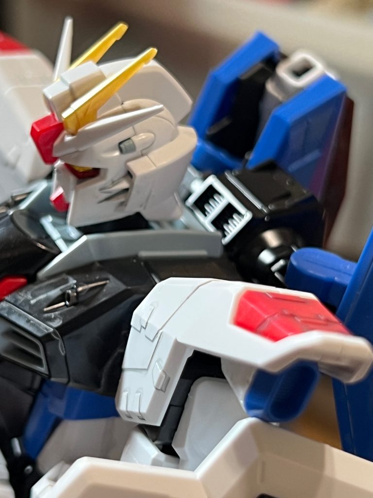 上海立像記念モデル フリーダムガンダム