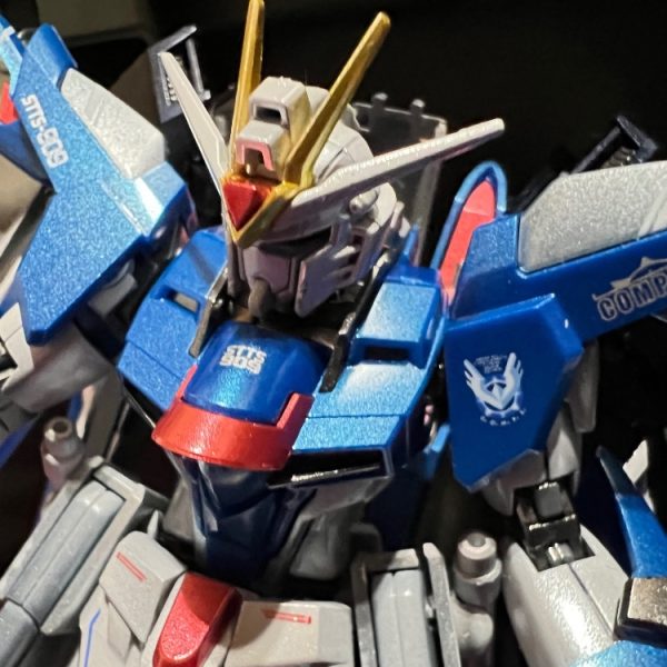 ライジングフリーダムガンダム