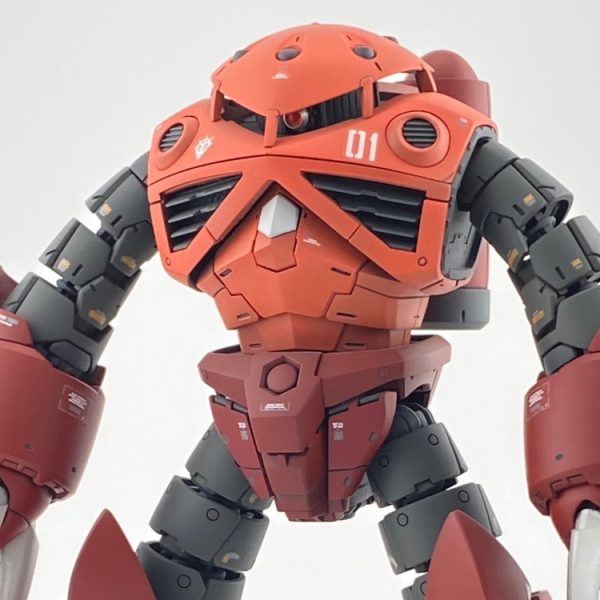 RG シャア専用ズゴック