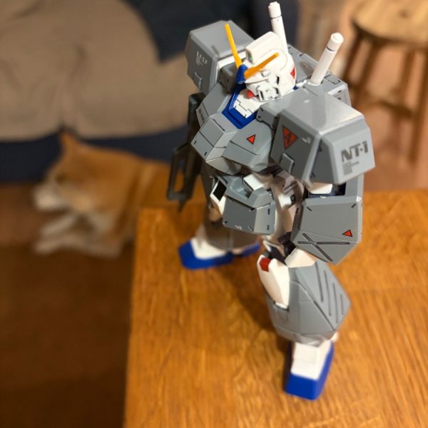 チョバムの人
