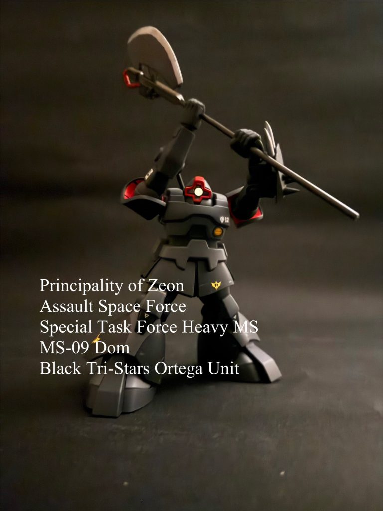黒い三連星　ドム　オルテガ機