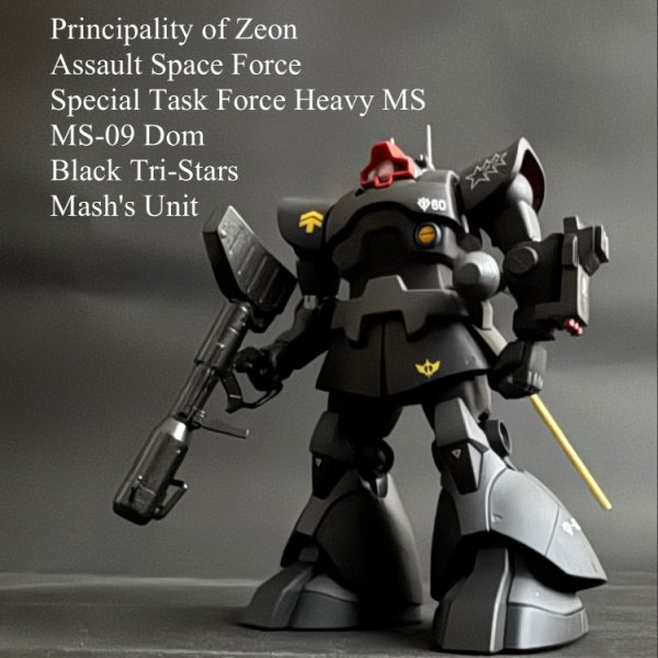 黒い三連星　ドム　マッシュ機