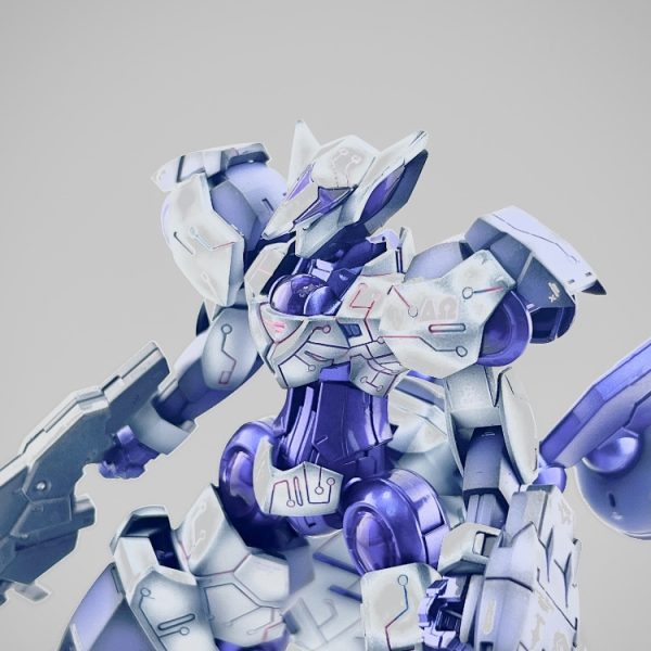 HGベギルベウトルシュonラピッドレイダー