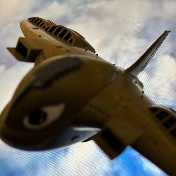 ガウ攻撃空母
