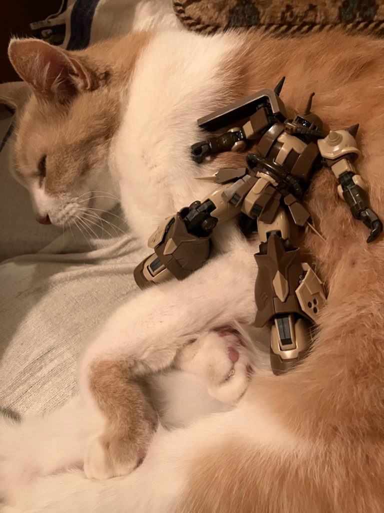 最後まで、ご覧いただきありがとうございましたm(_ _)m
