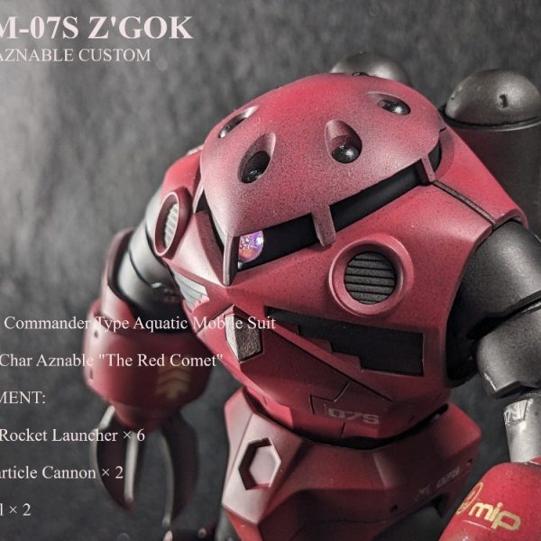 HG　シャア専用ズゴック「冗談ではない！」by　シャア・アズナブル