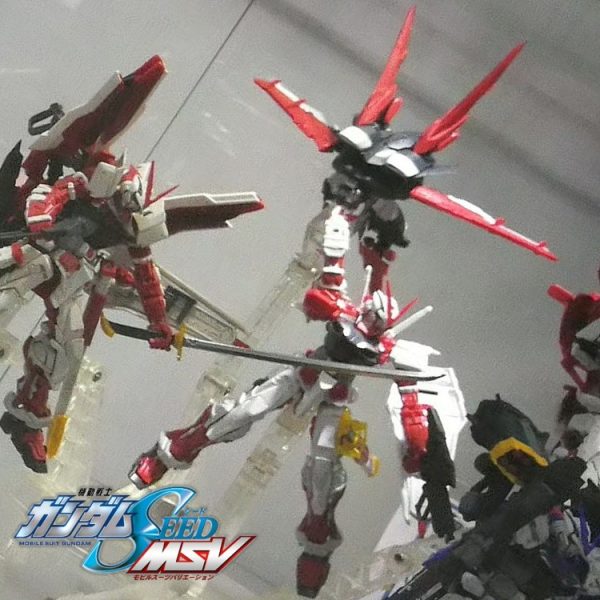 RG•ガンダムアストレイレッドフレーム•フライトユニット